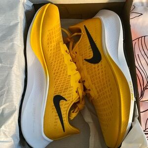 NIB Nike women’s black and gold Pegasus 37